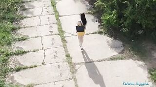 The Public Agent spotted a babe in public, offered cash for a private shot