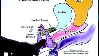 Squirting tutorial 2! Learn the best techniques with Mr PussyLicking’s expert guidance