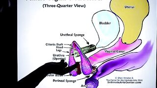 How to Squirt? The ultimate guide by Mr. PussyLicking, featuring intense, wet orgasms and passionate pussy licking that will make your partner moan with pleasure