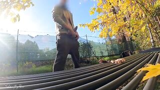 Stranger's cock flashing leads to intense public titty fuck