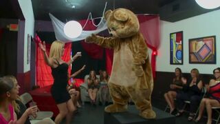 Dancing bear action at the club with wild hoes