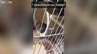 A couple has sex in a capsule hostel and then continues their journey to the big city