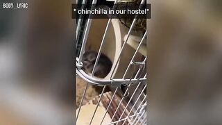 A couple has sex in a capsule hostel and then continues their journey to the big city