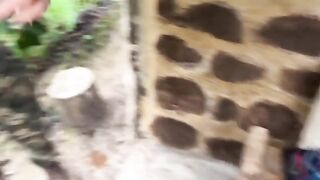 A couple got caught getting intimate in a risky outdoor spot