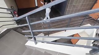 Two fake agents fucked a naive Chilean model in an elevator and toilet hard