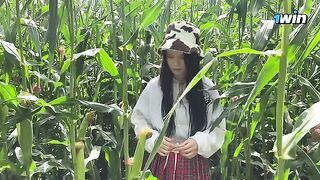 Security guard caught a thief in the cornfield and fined her on the spot