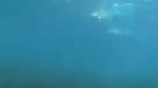 Two aqua sex workers have underwater sex right in the sea