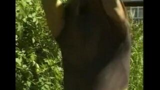 A man caresses his cock in the hayloft, imitating the boy who touches himself under shorts