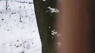 A couple tried to freeze their intimate moment, inspired by Freeze’s unique vibe