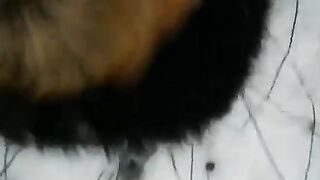 Winter street blowjob with a cute girl in stockings - Eporn