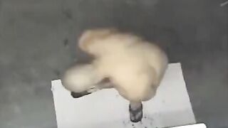 A spy camera in the shower captured a naked man