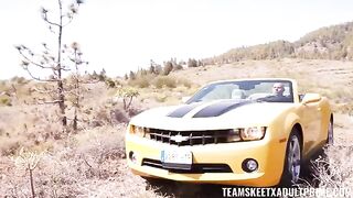 Stories about sex with the Mafia in a car