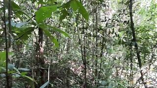 A breath of fresh air and her warm lips on my dick outdoors