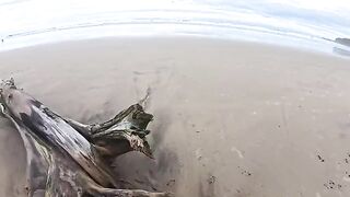 The beach is always wet - from the water and because of the atmosphere
